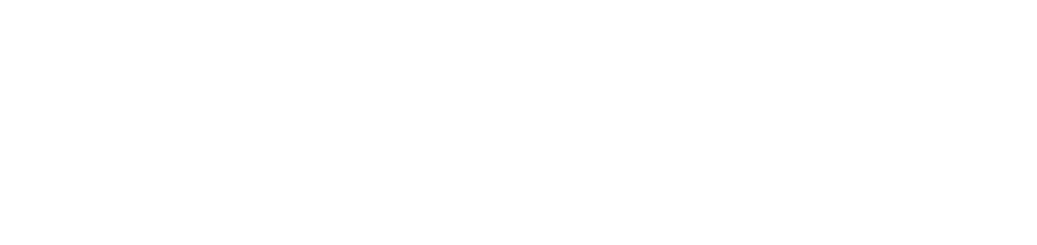 Securcast Italia